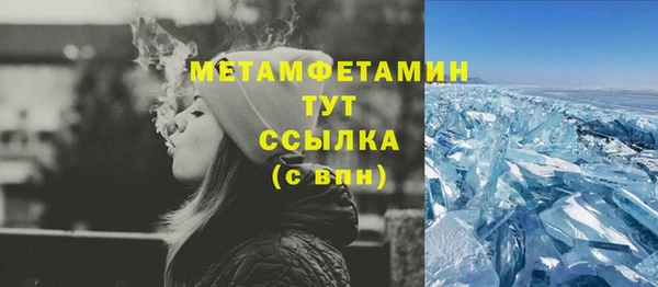 стаф Вязьма